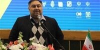 یارانه نان در راه تغییر؟ پورمحمدی: دولت اصلاح می‌کند!