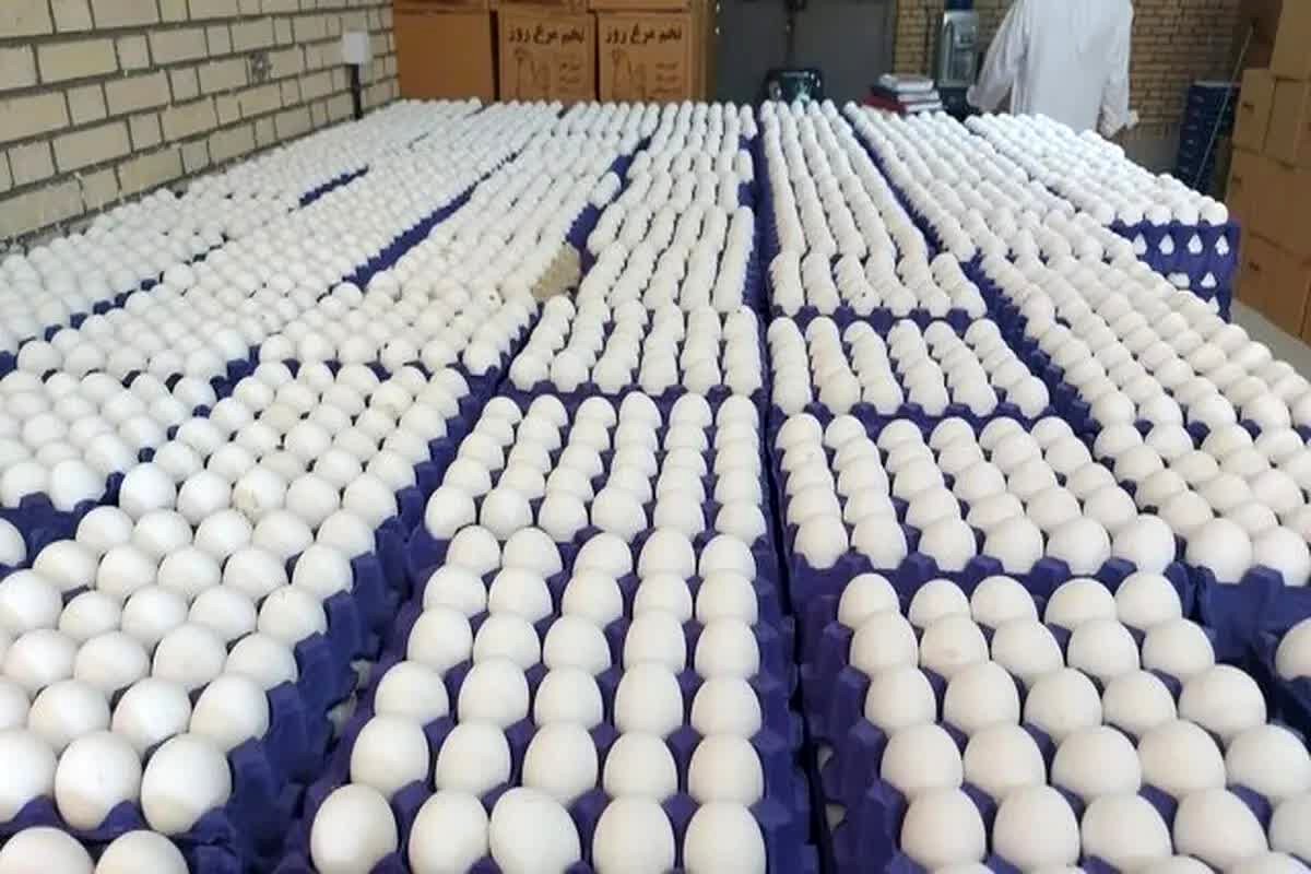 گران‌ترین تخم مرغ تاریخ؟ هر کیلو ۱۰۰ هزار تومان درب مرغداری!