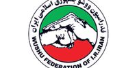 صدیقی: افزایش نرخ ارز کابوس بودجه کشور! | وعده جنجالی او از "انفجار مدال" ووشو در ناگویا