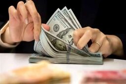 خداحافظی با ارز ترجیحی ۱۱۲۵۰۰ تومانی؟ مقام دولتی: فقط نرخ‌کنترلی موقت است!
