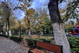 تهران نفس نمی‌کشد: 50 درصد بوستان‌های پایتخت در چنگال آفات!