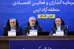 مناطق آزاد زیر تیغ جراحی اقتصادی: تخصص‌گرایی یا بحران؟