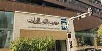 پاسخ جنجالی دفتر معاون رئیس‌جمهور به ادعاهای نماینده مجلس: پشت پرده چیست؟