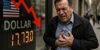 شرایط دریافت دلار دولتی در اردیبهشت ۱۴۰۴ + مراحل
