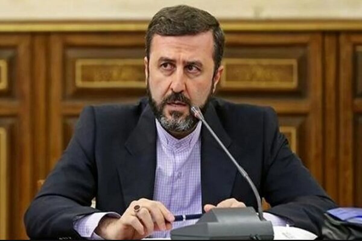 غریب‌آبادی: حقابه هریرود حق عرفی و قانونی ایران است؛ ادعاهای غربی‌ها بی‌اساس