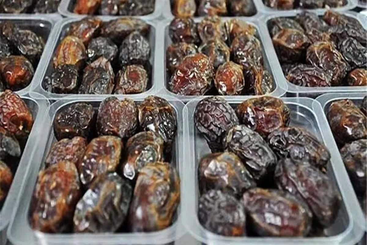فاجعه خرمای ایران: پشت پرده سقوط آزاد در بازار جهانی چیست؟